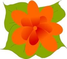 Orange nice Flower Clip Art drawing