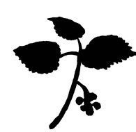 Silhouette of the fig tree clipart