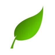 Green Leaf Clip Art N26
