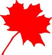 Red Maple Leaf Clip Art N4