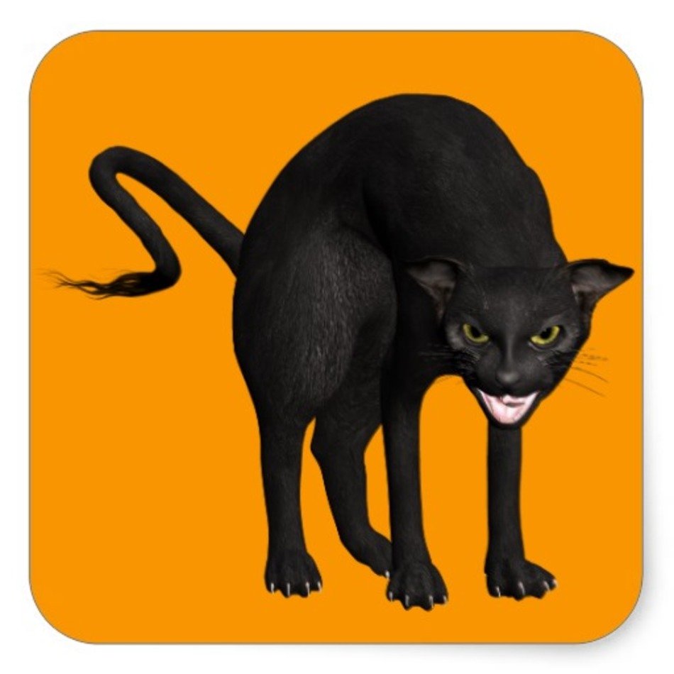 Scary Halloween Black Cat
