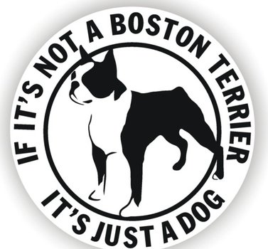 Boston Terrier Clip Art N3