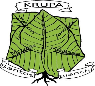 Family Tree Clip Art N34