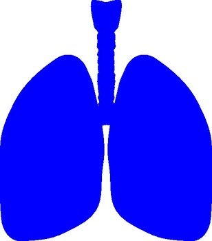 Lungs Clip Art N16
