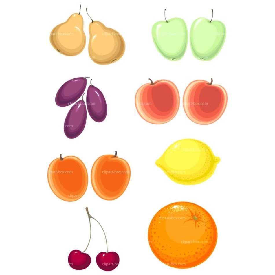 İllustration of the Fruits
