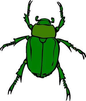 Beetle Clip Art N3