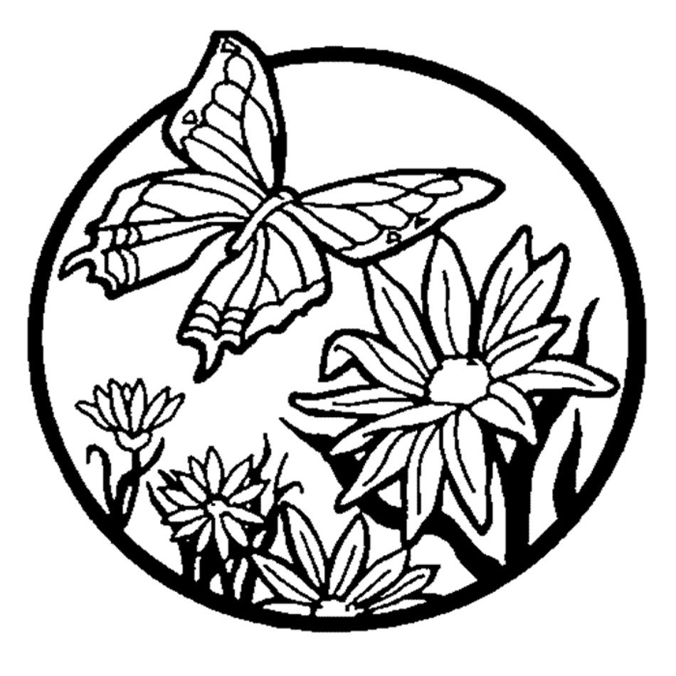 Butterfly Coloring Pages N2