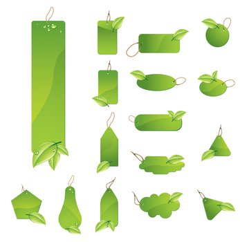 Green Leaf Vector N3