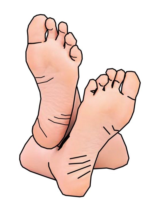 Feet Clip Art N18