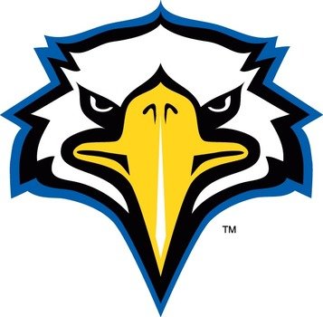 Eagle Head Logo N5