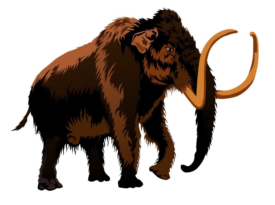 Mammoth Clip Art N2