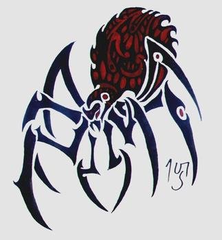 Tribal Spider Tattoos
