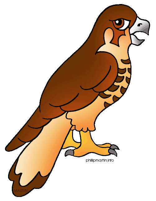 Hawk Clip Art N9 free image download