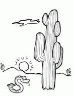 black and white picture of a cactus in the desert