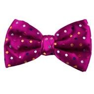 Pink violet Bow Tie drawing