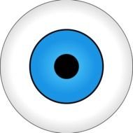 clipart human eye