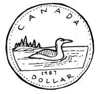 Canadian Loonie, 1 Dollar Coin Revers, drawing