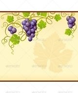 Grape Vine Frame Clip Art