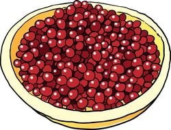 Cranberries Clip Art N4