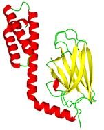 Molecule Clip Art N5