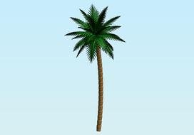 Palm Tree Logo N4
