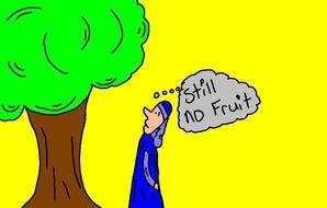 Still no Fruit as picture for clipart