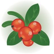Red Berries Clip Art
