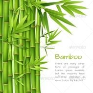 Bamboo Border Clip Art N5