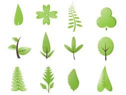Green Leaf Vector N4