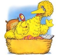Sesame Street Big Bird Sings