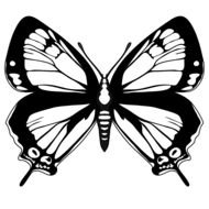 Butterflies Clip Art Black And White drawing