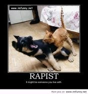 Really Funny Animal Memes