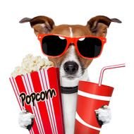 dog at the cinema
