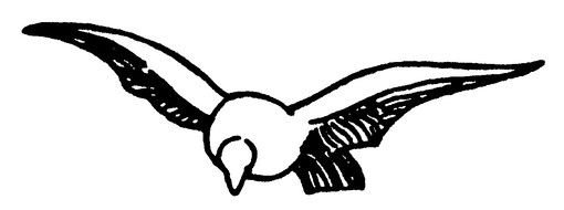 drawing white bird silhouette