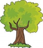 Cartoon Tree green brown drawing