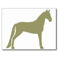 Tennessee Walking Horse Olive Green Post Cards