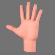 3D Hand Model Cartoon