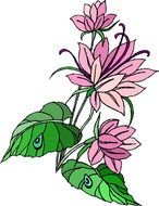 Plant as graphic illustration