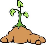 Flower Growing Clip Art N6