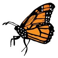 Monarch Butterfly Clip Art Free N5