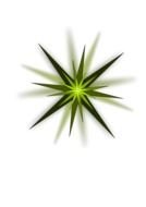 Green abstract Star drawing