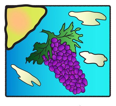 Sour Grapes