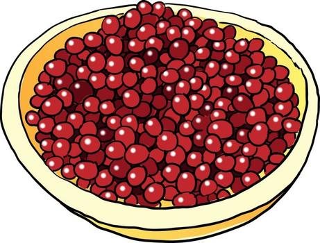 Cranberries Clip Art N4