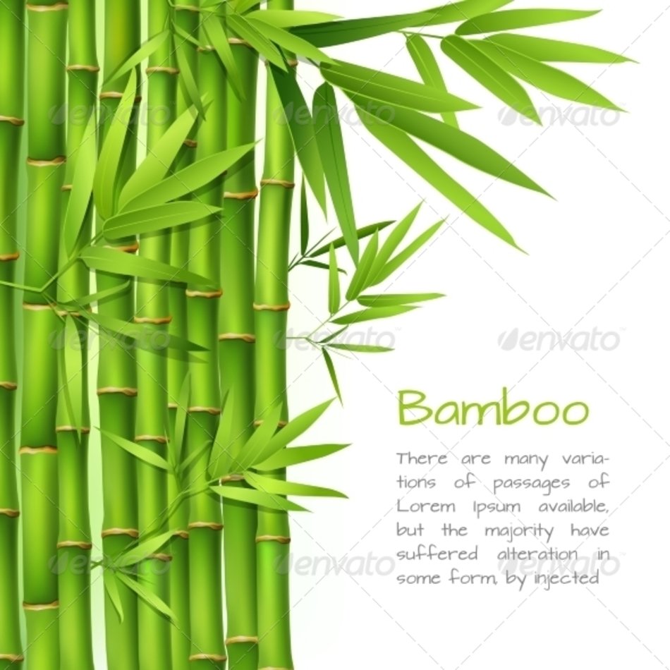 Bamboo Border Clip Art N5