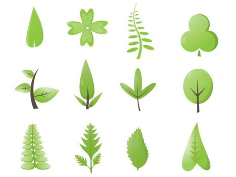 Green Leaf Vector N4