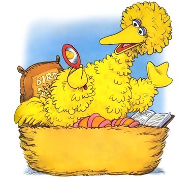 Sesame Street Big Bird Sings