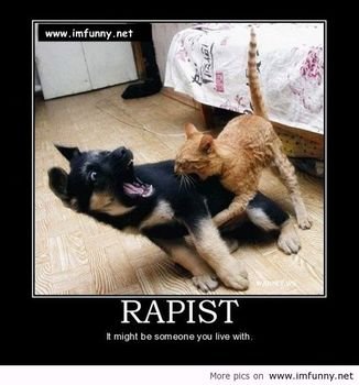 Really Funny Animal Memes