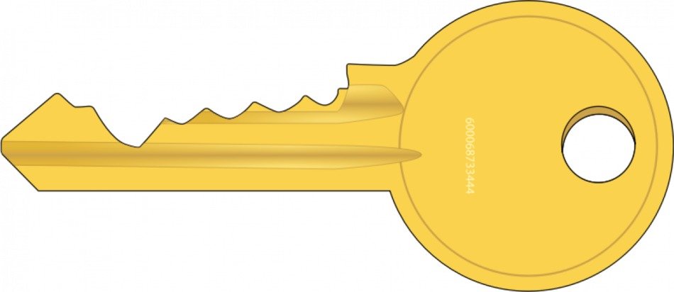 isolated drawn key