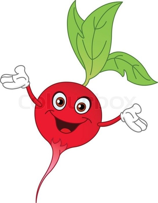 Cartoon Radish