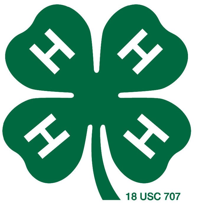4 H Clover N7